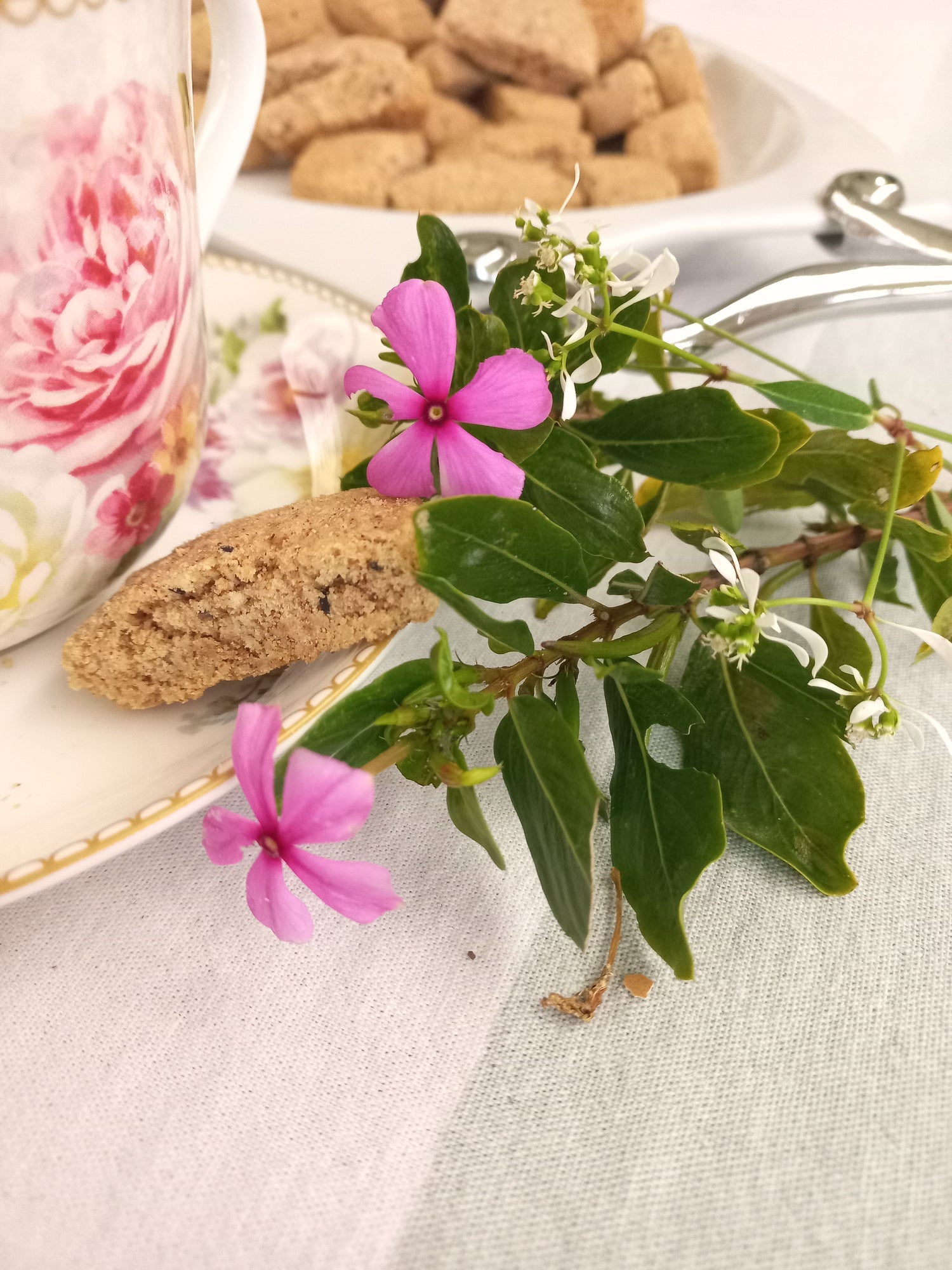 Spice Biscuits made with Coleman Royal Bakeries Gluten-free Plain Flour. Recipe available.